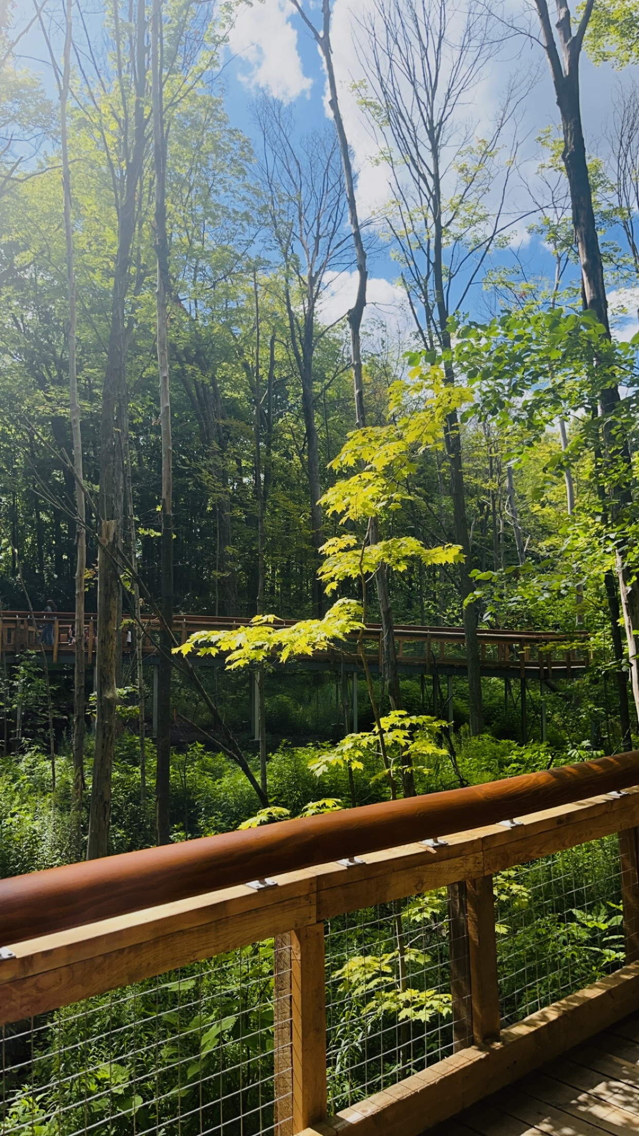 zoo