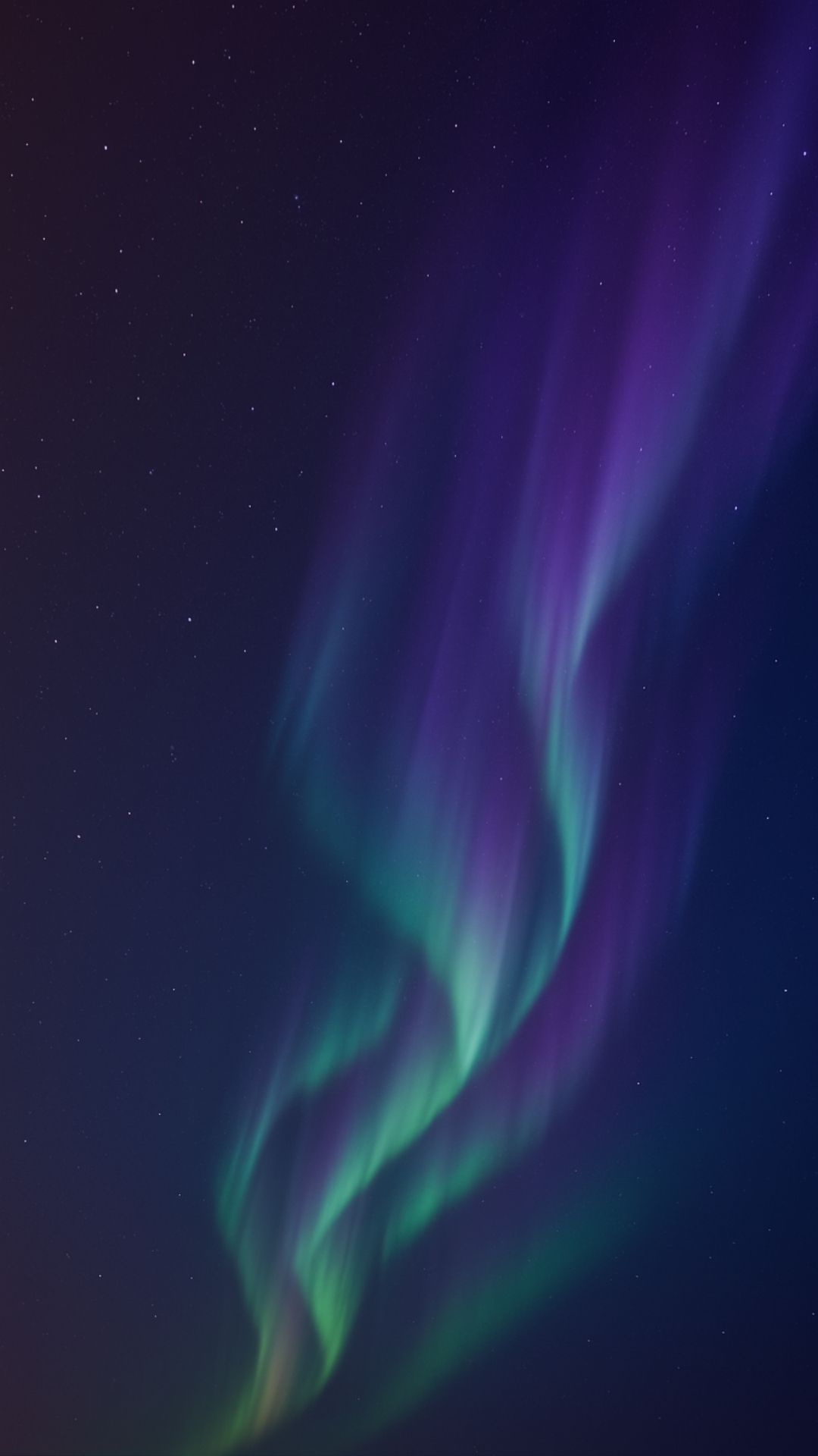 wp1